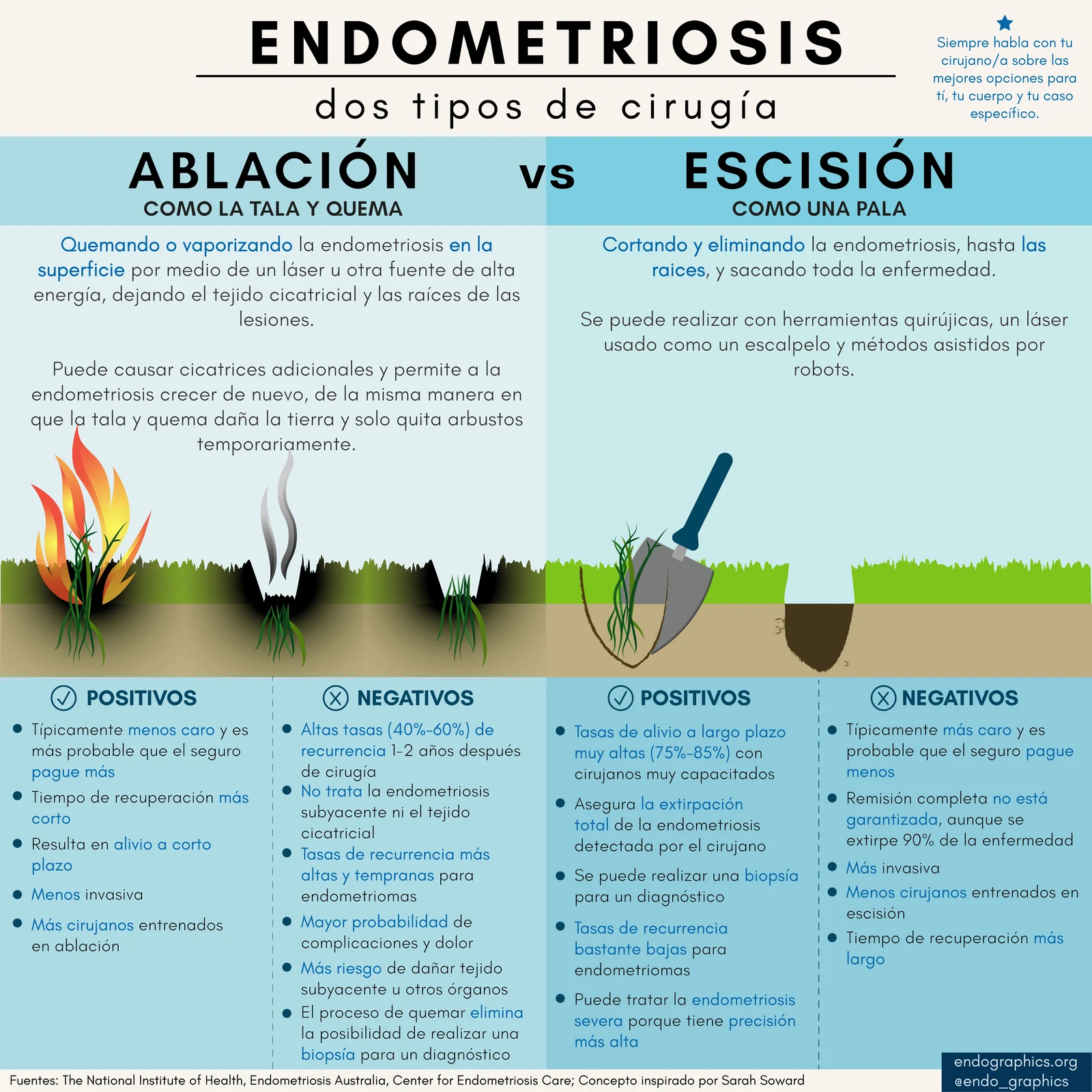 Infografía titulada Endometriosis: dos tipos de cirugía. Compara la ablación, como la tala y quema, con la escisión, como una pala, y enumera los positivos y negativos de cada una.