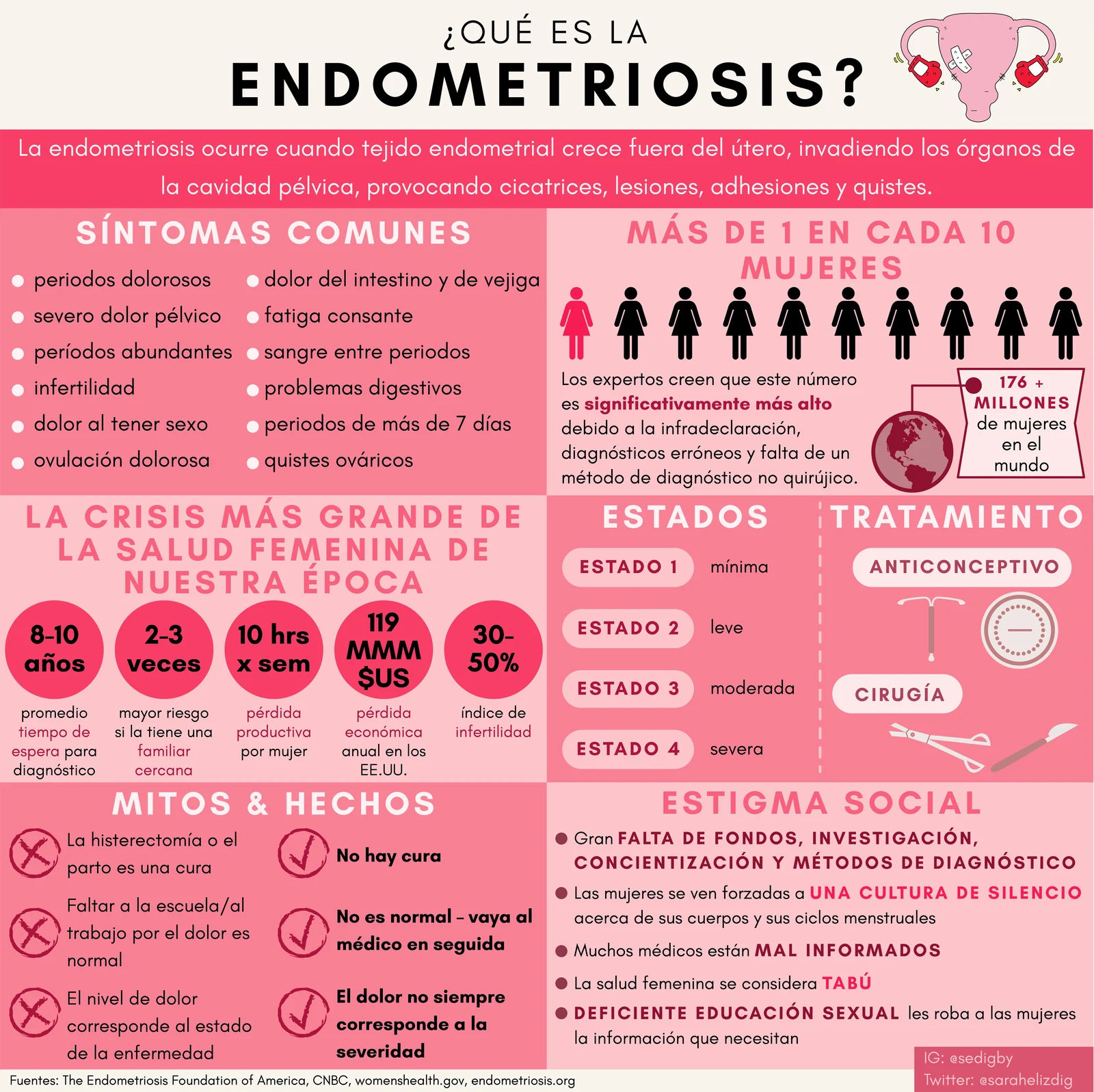 Infografía titulada ¿Qué es la endometriosis? Cubre síntomas comunes, cuántas mujeres la padecen, estados, tratamiento, mitos y hechos, y estigma social.